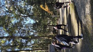 小さな成功体験