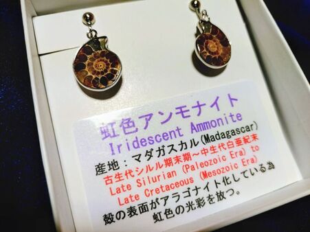 【社員の日常】ロマンのある買い物をしました♪