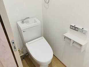 Pic11