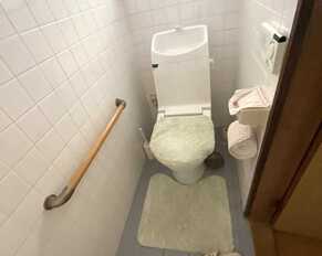 Pic11