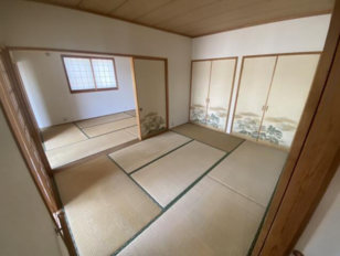 Pic3