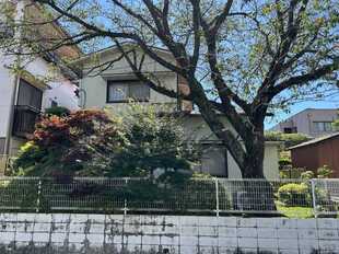 Pic1