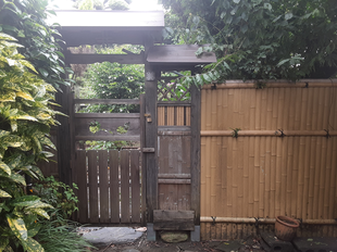 和室のお庭へはこちらから