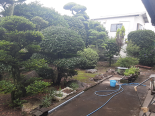 物件南側は和風のお庭です