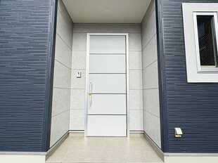 Pic1