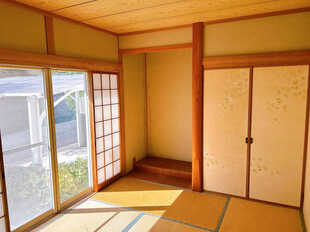 Pic11