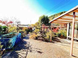 趣のある庭です。植栽はせん定します。