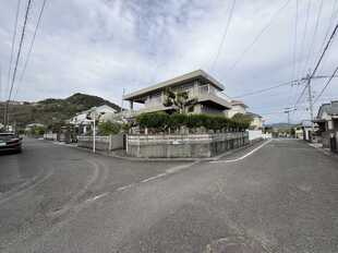 Pic1