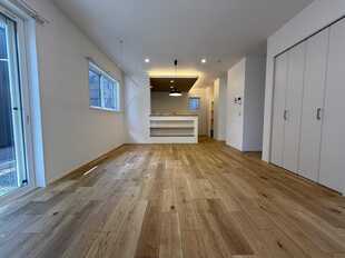 Pic3