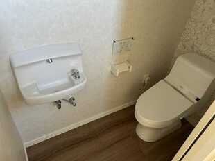Pic8