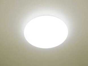 Pic19
