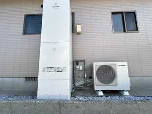 Pic21