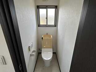 Pic11