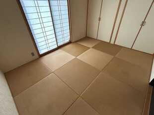Pic19