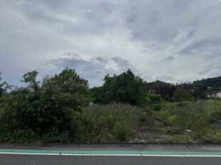 Pic1