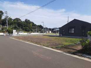 Pic1