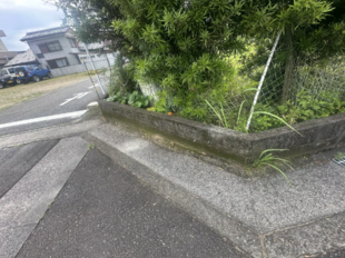 Pic5