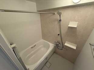Pic21