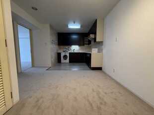 Pic13