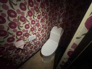 Pic12