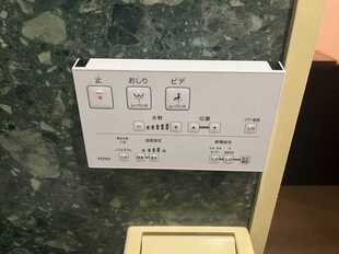 Pic15