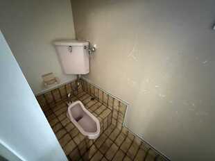 Pic19