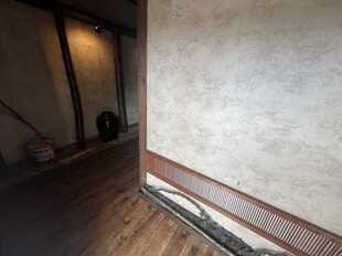Pic1