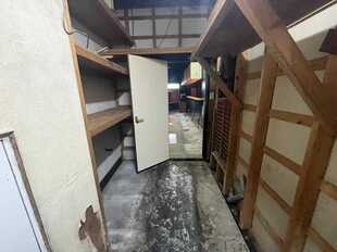 Pic19