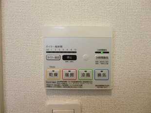 Pic11