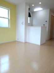 Pic1