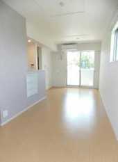 Pic1