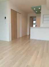 Pic1
