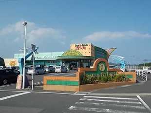 Pic15