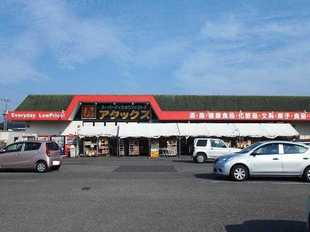 Pic19