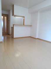 Pic1
