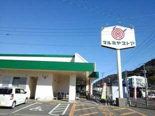 マルミアストア