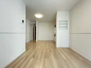 Pic1