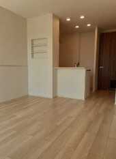 Pic1