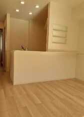 Pic1