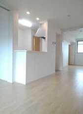Pic1