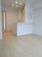 Pic1