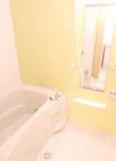Pic3