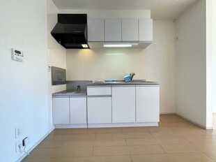 Pic3