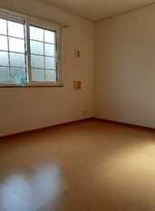 Pic8