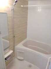 Pic3