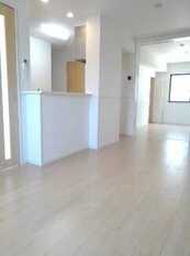 Pic1