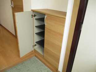 Pic11