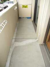 Pic16