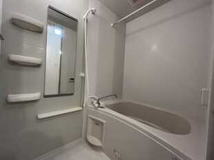 Pic7