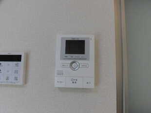 Pic11